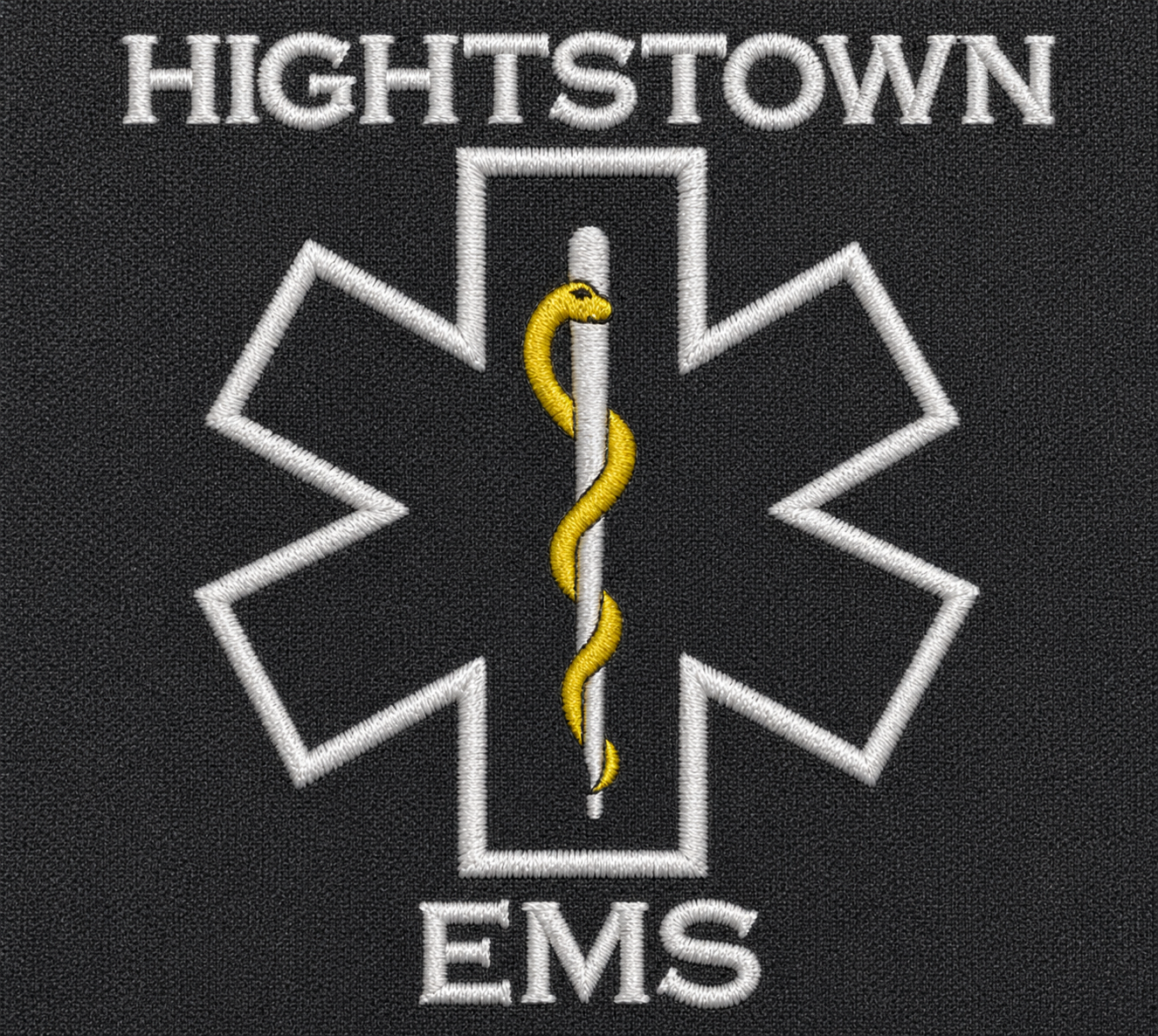 EMS logo